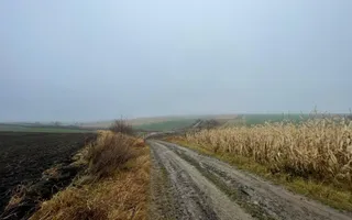 TEREN EXTRAVILAN | DOUA PARCELE 2.84 HA| DARMANESTI - Poză 14