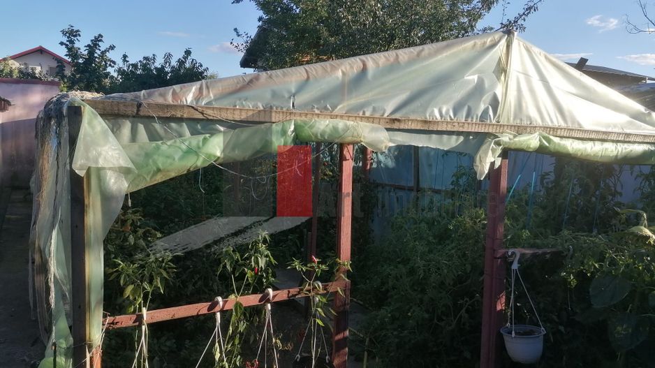 Dascalu-lfov-Vila D+P+M-5 camere-Locatie Deosebita - comision 0 - Poză 16