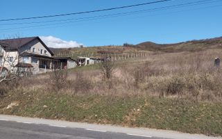 Teren intravilan 3719mp cu utilitati-deschidere la sosea -Crainimat - Poză 1