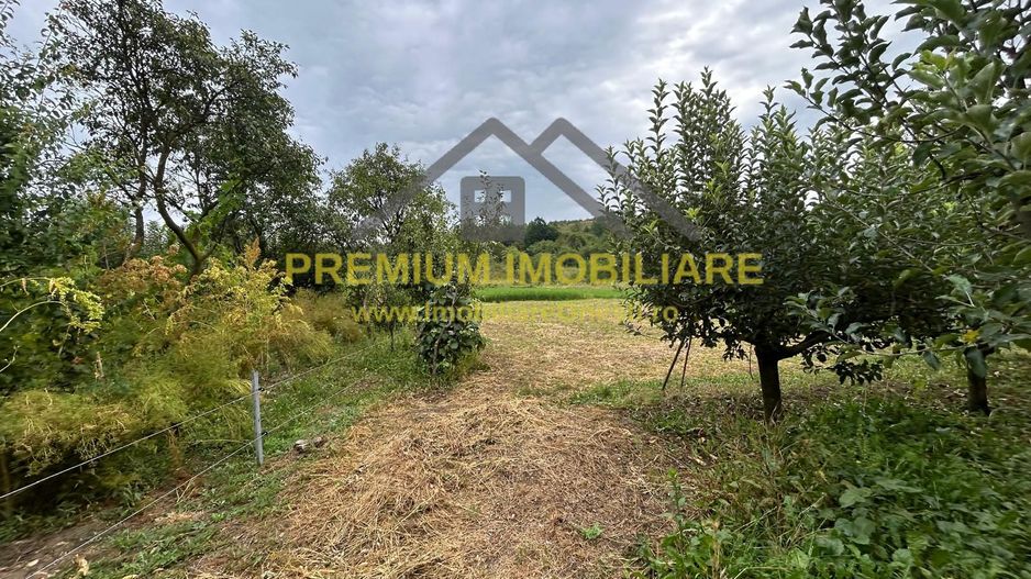 Proprietate de vânzare | 15 km de Onești, DN11 – direcția Bacău - Poză 8