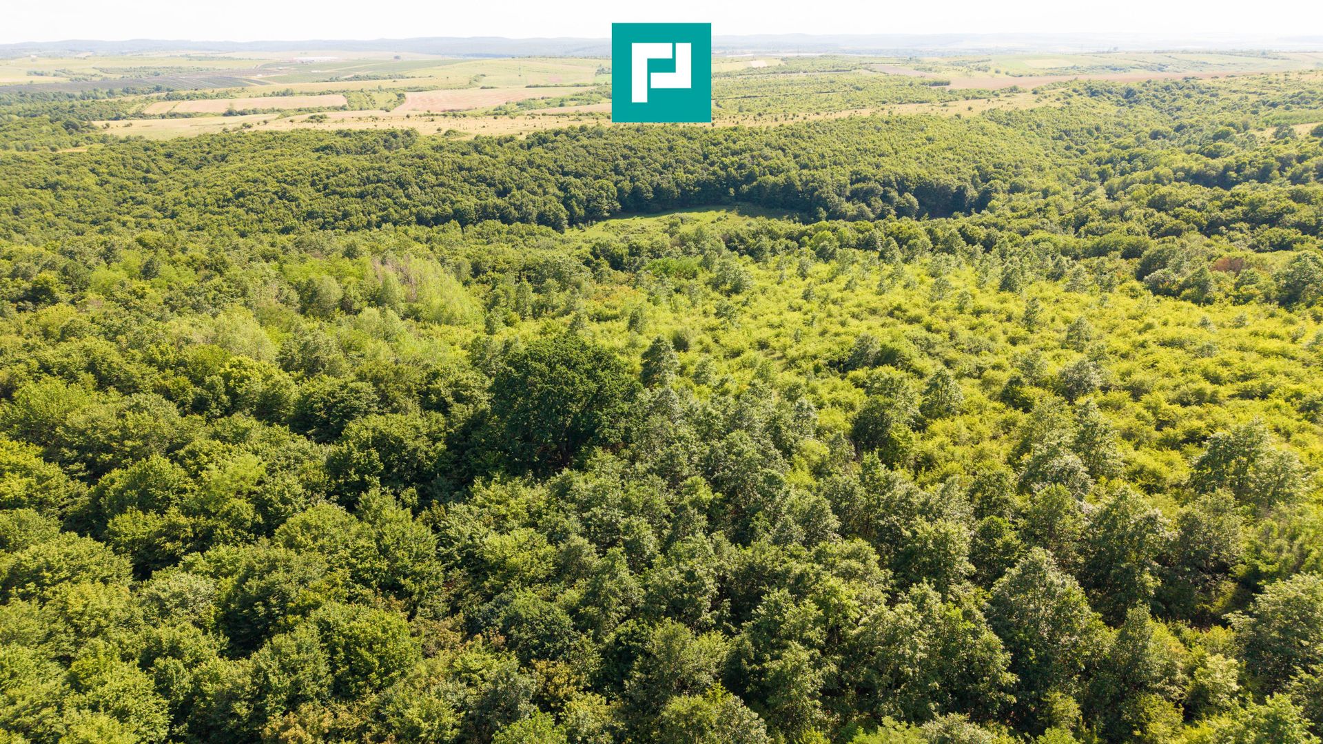 TEREN AGRICOL EXTRAVILAN  22.900 MP LIPOVA - Poză 15