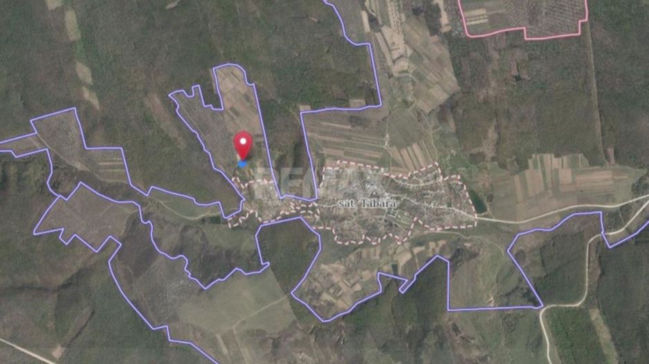 Tabăra/Orhei | 12.87 ari | Teren în inima Codrilor – Ideal pentru evadare în natură sau investiție - Poză 10