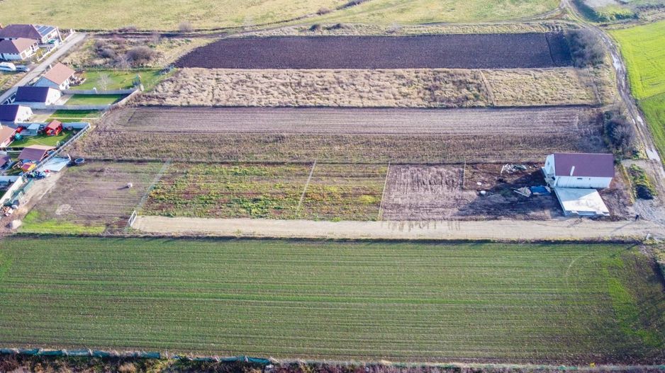 Parcela casa-Biharia, 500 mp,utilitati.Pret 25900 euro neg, comision 0 - Poză 7