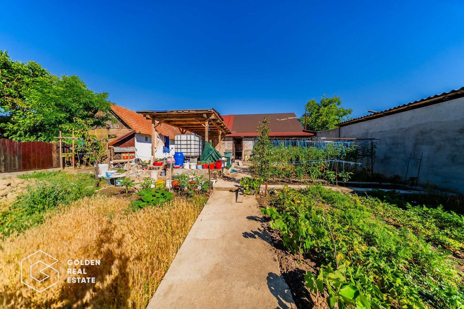 Casa situata in Pecica, 1602 mp - Poză 3