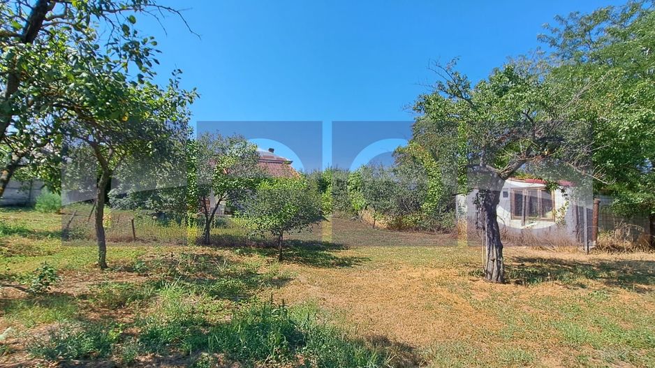 CASA DE VANZARE | 4 CAMERE | 110 MP | TEREN 2.500 MP | ROSIORI DE VEDE - Poză 12