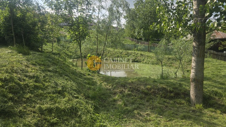 Oază de liniște și natură! Casă  cu 2 heleșteie și pârâu în curte – Probota - Poză 3