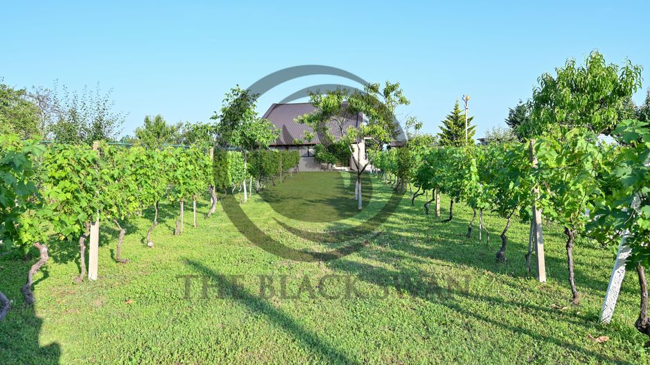 Casa cu piscina de vanzare | 3.300 mp teren | Urlati - Prahova - Poză 21