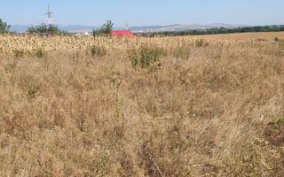 Oportunitate investitie. Oarda de Jos, 16 parcele de 490 mp - Poză 1