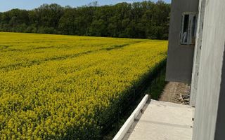 Vile Individuale Noi 4 camere Snagov Ghermanesti - Poză 12