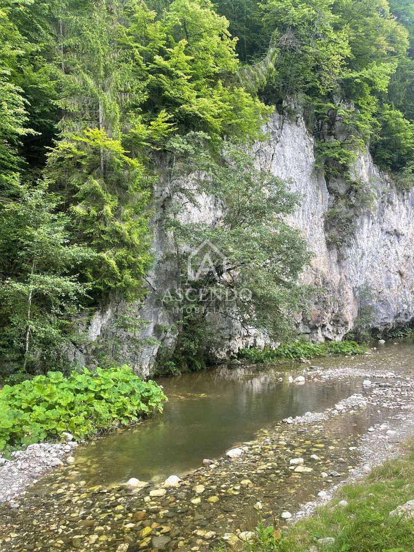 Teren pentru investiție turistică în Dâmbovicioara – Baranga | 4.500 mp | Front ~102 ml - Poză 21