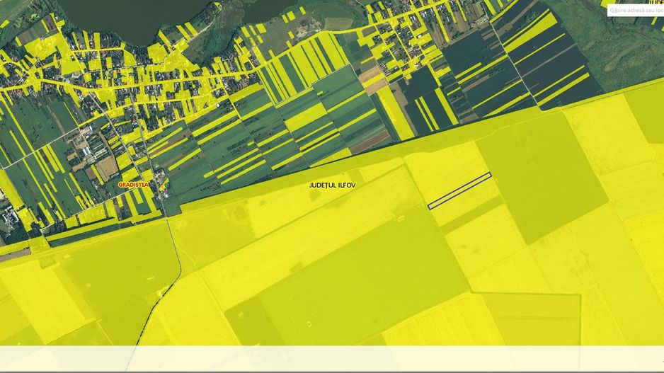 GRADISTEA - Sat Sitaru - Tarla 41, vanzare 14080 mp. teren agricol - Poză 3