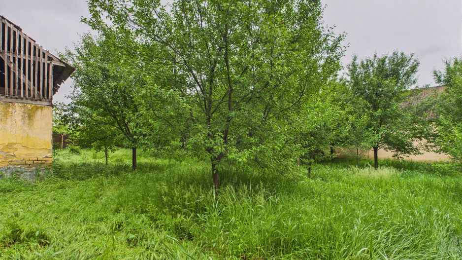 Casă de reabilitat pe teren generos- Comuna Variaș - Poză 12