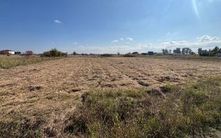 Teren Mosnita NOua 780 mp posibilitate duplex - Poză 2