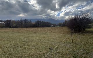 Teren Zarnesti | Tohanita | Intravilan | PUZ aprobat | Fara Utilitati | 9.053mp - Poză 19