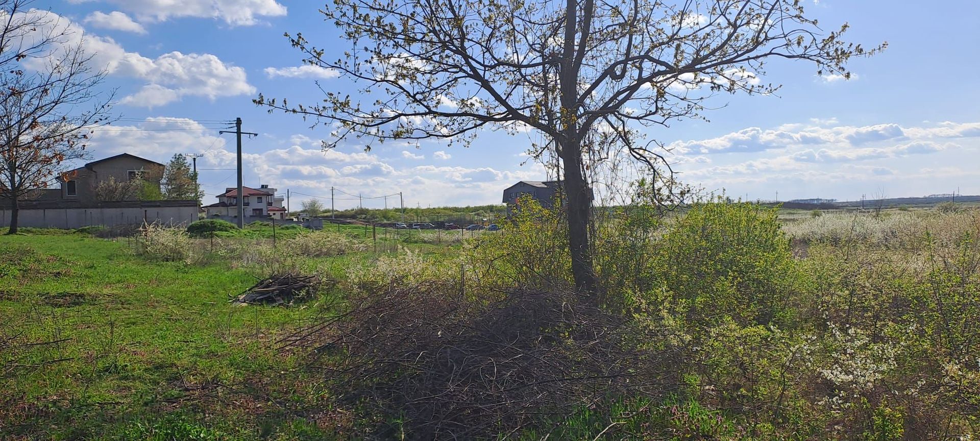 Mogosoaia, teren 792 mp, vedere la lac, utilitati, statie STB la 750m - Poză 3