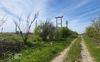 Teren extravilan, 22.5 ha, comuna Maureni - Poză 3