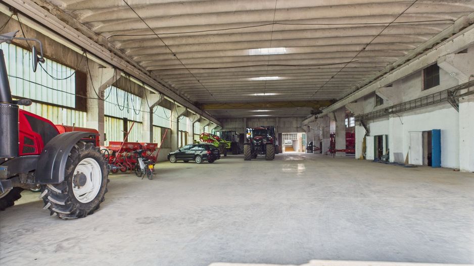 Complex industrial cu hale și teren  în Orțișoara - Poză 2