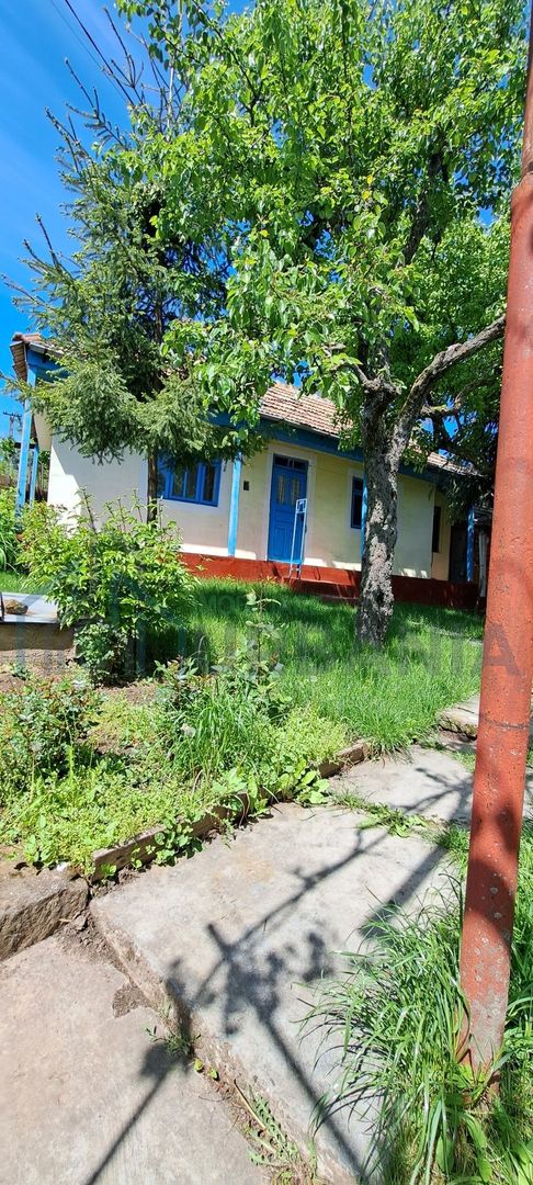 Casă tradițională în sat Bohotin, comuna Răducăneni – 40.000 EUR - Poză 1