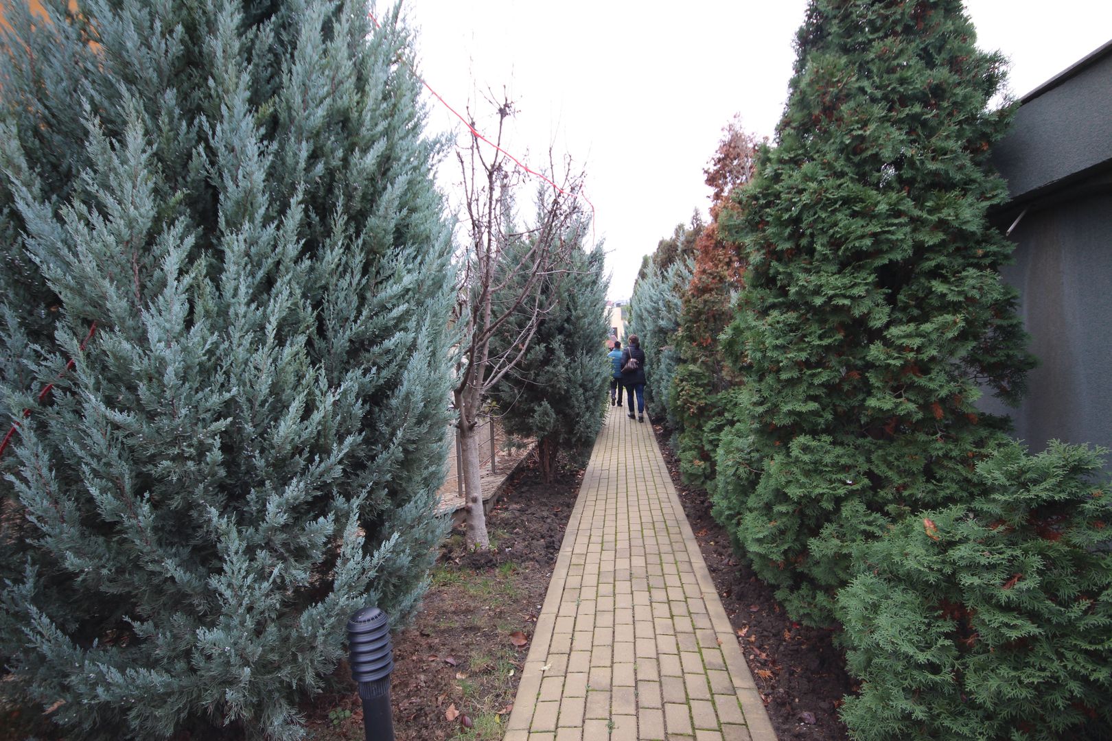 Casa pretabila birouri, camin de batrani - Poză 138