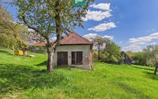 Proprietate rară cu 24.270 mp, în Măgulicea, Arad! - Poză 21