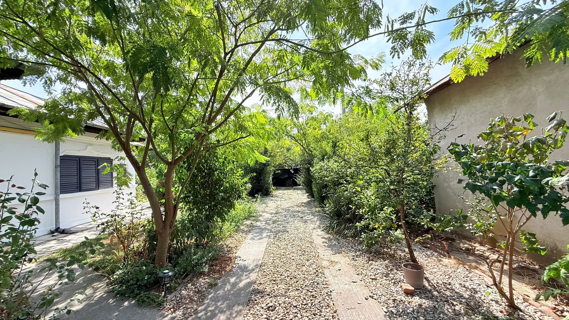 Casă de vânzare | 5 camere | Teren 1.200 mp | Foisor | Ciorogârla - Poză 21