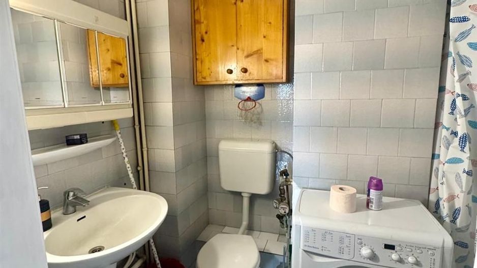 Apartament 1 camera Calea Aradului - Poză 7