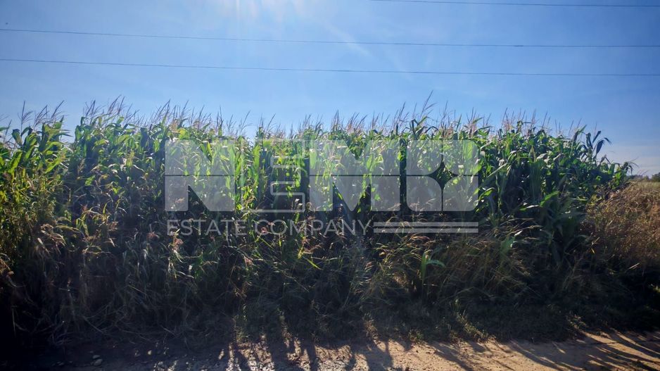 Teren generos | 45 Ari | Utilități în zonă | Deschidere la drum - Poză 1