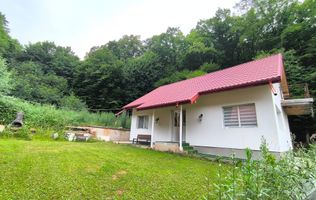 Casa noua Capusu Mare la marginea padurii