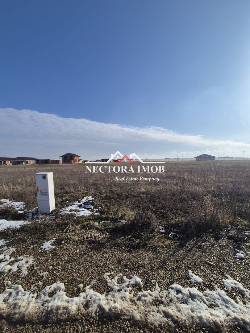 NECTORA IMOB-Teren Intravilan, 500 mp, Front 20ml,Zona CIHEI,Utilitati - Poză 1