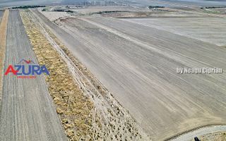 Teren agricol, 5HA, comasat, drum acces, Cateasca - Poză 9