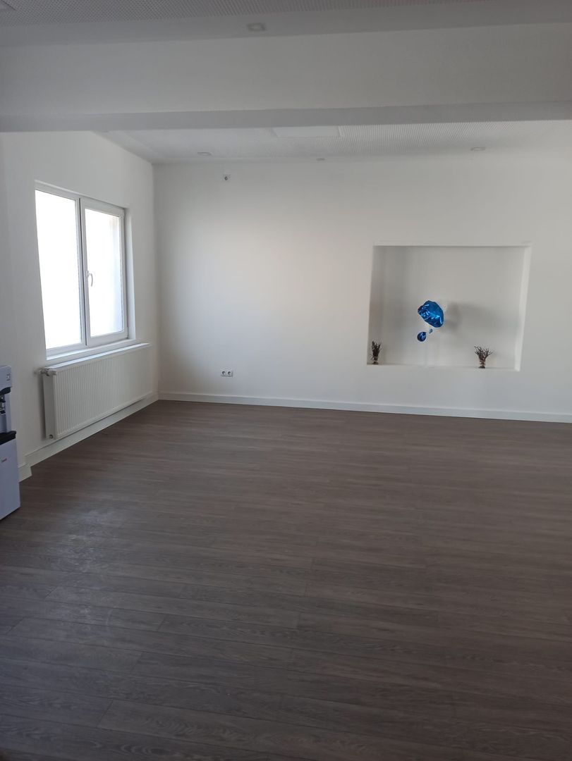 COMPLEX CU CASA DE LOCUIT  ZONA SANGEORGIU - Poză 5