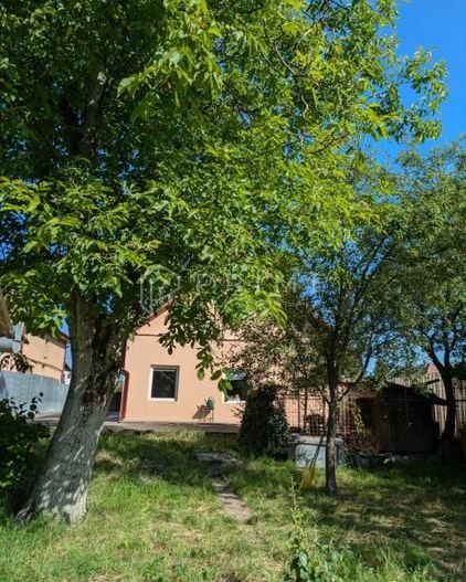 Clădire multifuncțională de vânzare sau închiriere – 7 Noiembrie - Poză 1