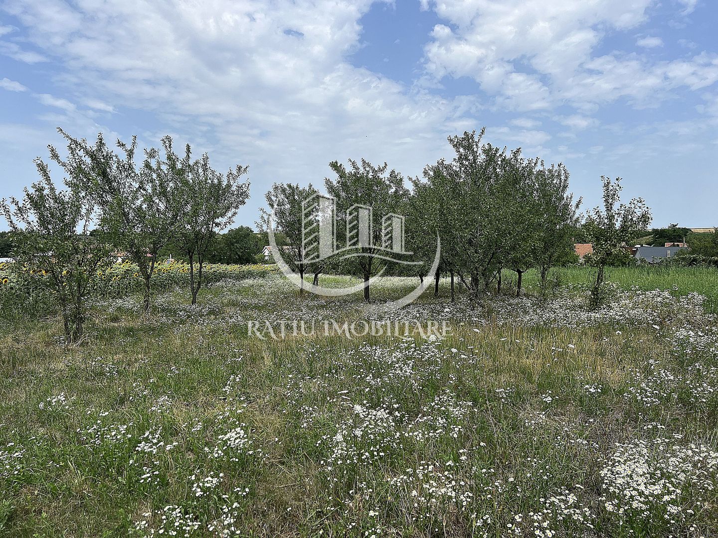 Casa de vacanta | Târgușor | Bihor - Poză 22