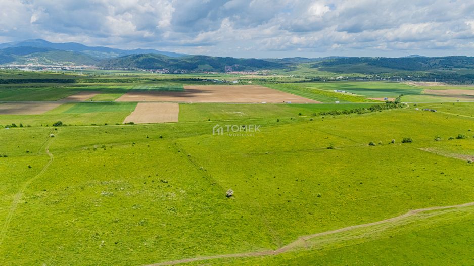 Teren de investiție în zona Tohanul Nou - Bran  5.800 mp - Poză 5