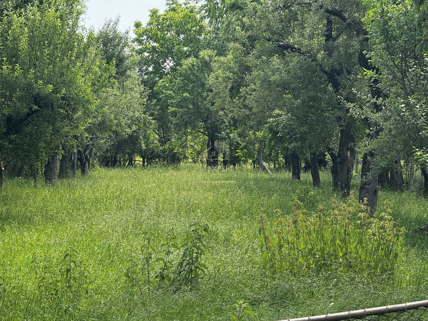 CASA 3 CAMERE, PLUS ANEXE, TEREN 2141 MP, BEREVOIESTI, ARGES - Poză 31