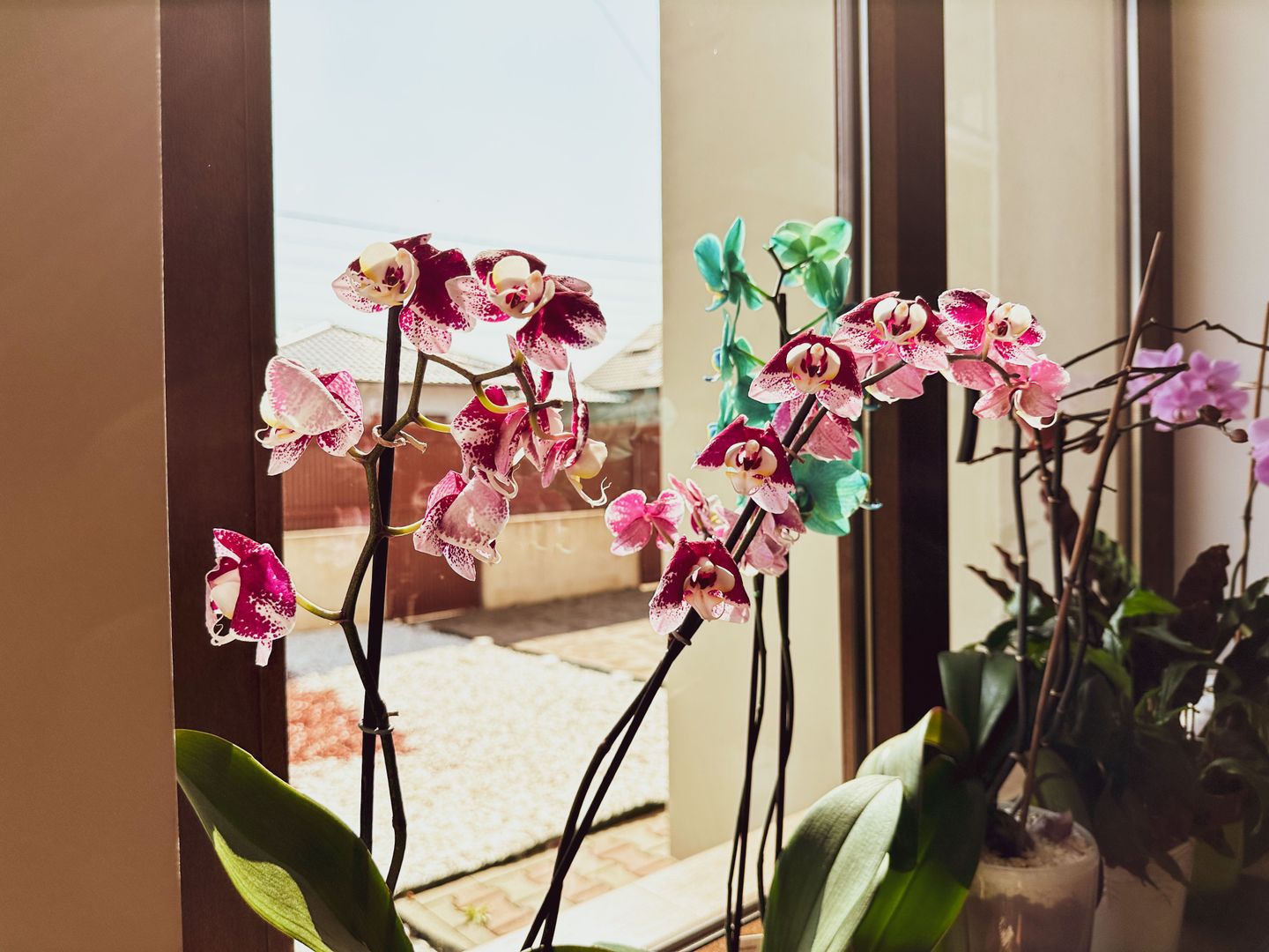 Dumbravita - Casa 5 camere, 179 mp | Mobilat & Utiliat | Garaj - Poză 29