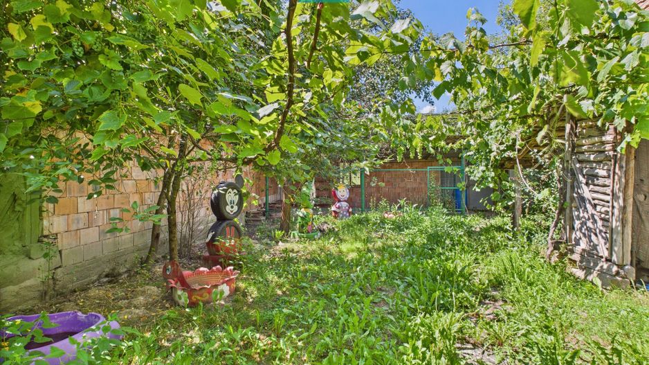 Casă de vacanța cu 2 camere,  zonă idilică în Tauț - Poză 9