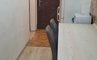 Apartament 1 Camera Gorjului - Poză 6
