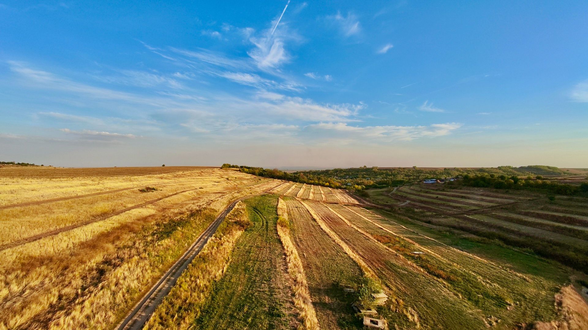 Teren Daia 75000 mp cu balta 30000 mp izvoare - Poză 2