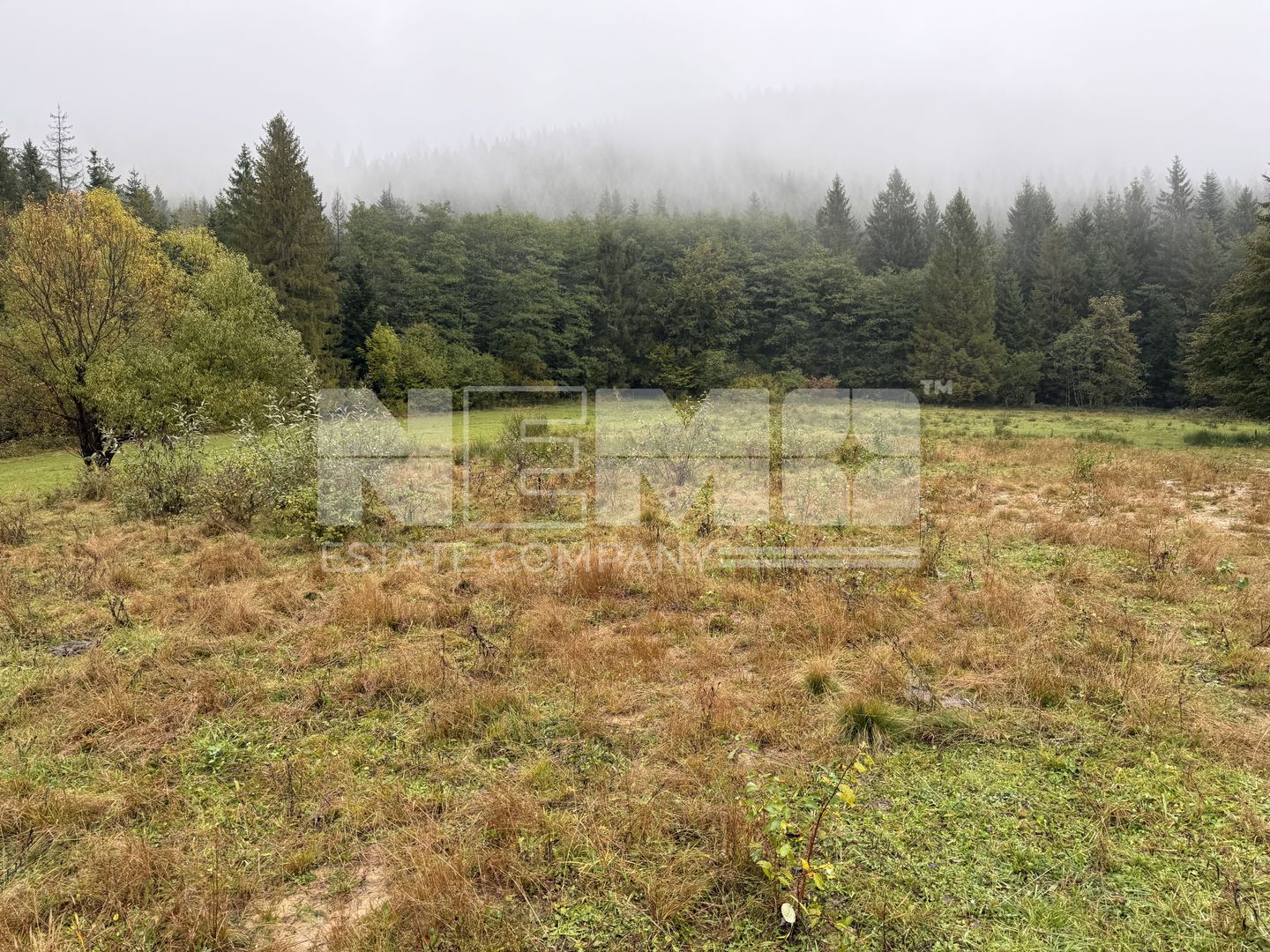 Teren Extravilan | 6.100 mp | Brodina | 41.500 € negociabil - Poză 10