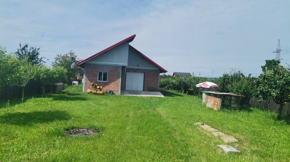 Inchiriere hala depozitare si teren, Labusesti - Poză 3