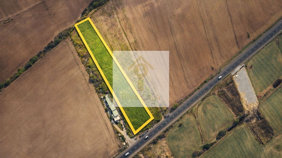 TEREN INTRAVILAN 7.959 MP – DN79 NOJORID, BIHOR - Poză 1