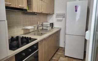 De inchiriat garsoniera , Berceni sector4 - Poză 5