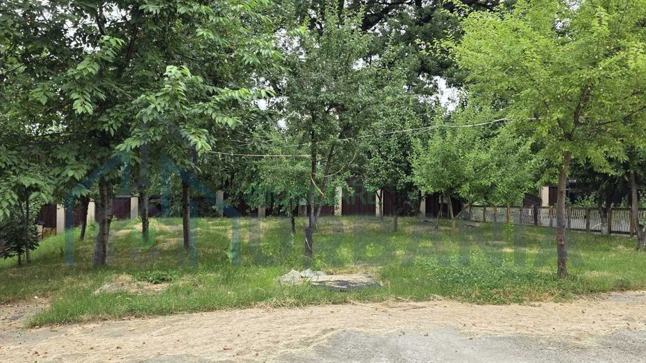 Închiriere casă/vilă, Șoseaua Bucium 124, Iași – 450 mp utili, 1.318 mp teren - Poză 4