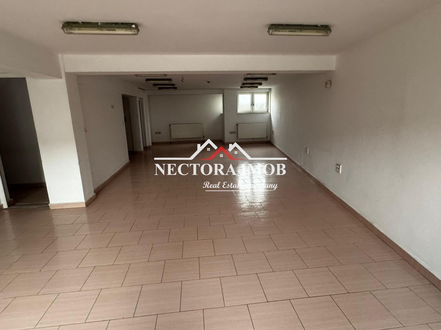 NECTORA IMOB-Spatiu comercial 125 mp, Str. Mestesugarilor, Parter+Demi - Poză 4