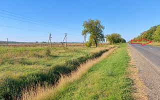 4,85 HA CU DESCHIDERE DE 300 M LA TRASEU | CRIULENI – SLOBOZIA-DUȘCA - Poză 9