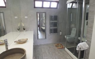 Vila Horezu Romanii de Jos - Poză 58