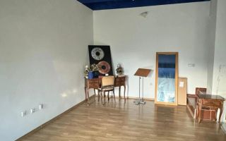 Apartament 3 Camere cu Grădină și Parcare, Bucium (Plopii fără Soț) - Poză 4