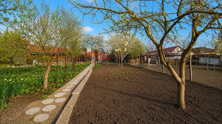 Casă individuală, teren generos de 1.348mp, poziție centrală, Giarmata - Poză 10