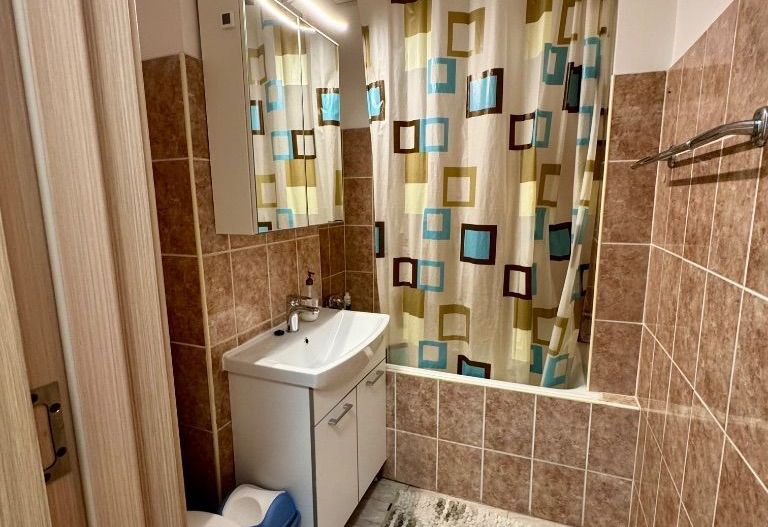 Apartament 2 Camere Strada Romancierilor - Poză 8